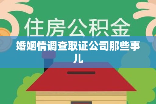 定南婚姻情调查取证公司那些事儿