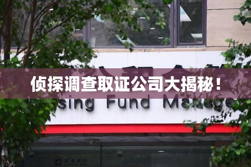 定南侦探调查取证公司大揭秘！