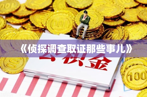 定南《侦探调查取证那些事儿》