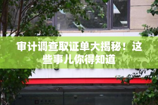 定南审计调查取证单大揭秘！这些事儿你得知道