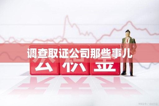 定南调查取证公司那些事儿