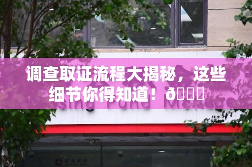 定南调查取证流程大揭秘，这些细节你得知道！😎