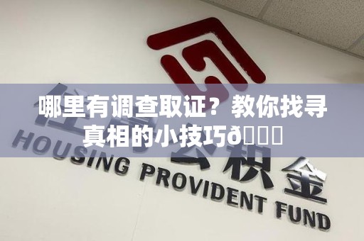 定南哪里有调查取证？教你找寻真相的小技巧😎
