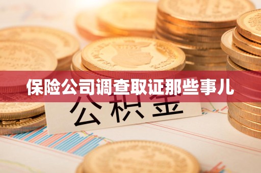 定南保险公司调查取证那些事儿