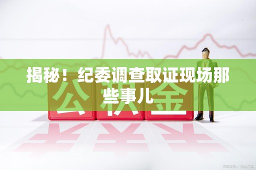 定南揭秘！纪委调查取证现场那些事儿