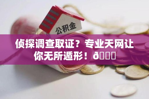 定南侦探调查取证？专业天网让你无所遁形！😎