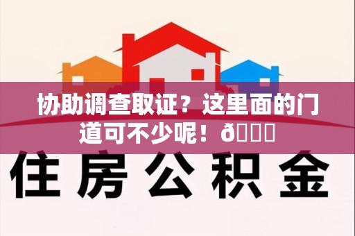 定南协助调查取证？这里面的门道可不少呢！😎