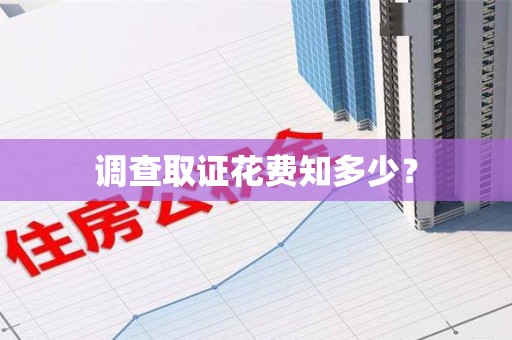 定南调查取证花费知多少？