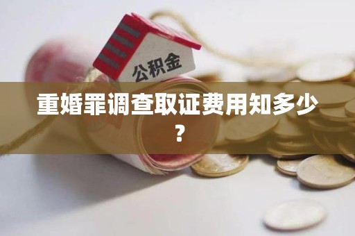 定南重婚罪调查取证费用知多少？
