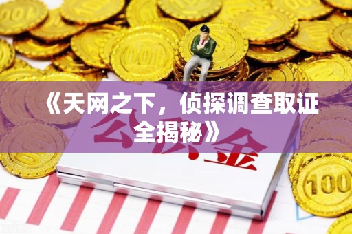 定南《天网之下，侦探调查取证全揭秘》