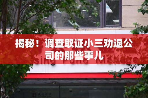 定南揭秘！调查取证小三劝退公司的那些事儿