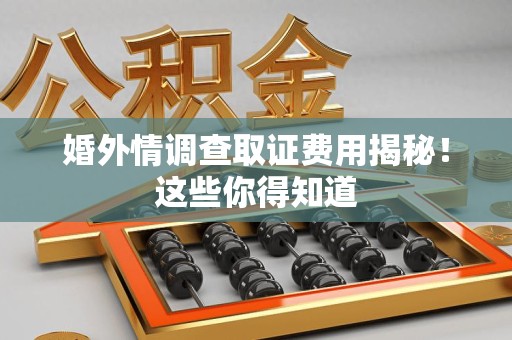 定南婚外情调查取证费用揭秘！这些你得知道