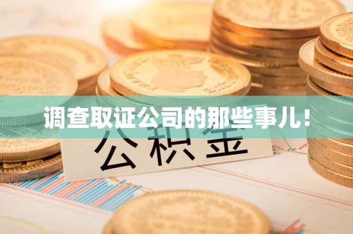 定南调查取证公司的那些事儿！