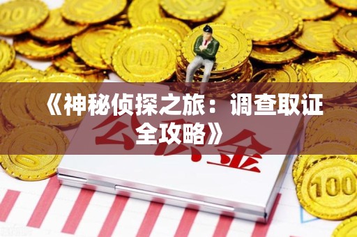 定南《神秘侦探之旅：调查取证全攻略》
