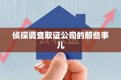定南侦探调查取证公司的那些事儿