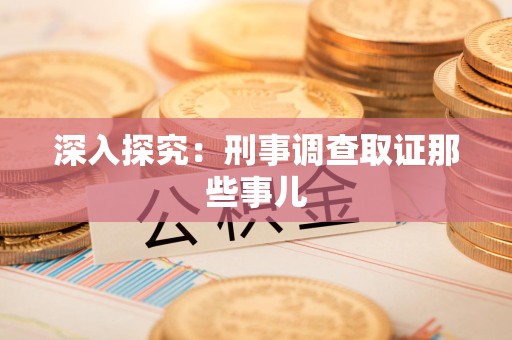 定南深入探究：刑事调查取证那些事儿