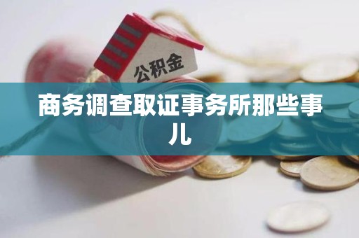 定南商务调查取证事务所那些事儿