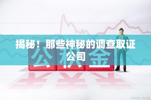 定南揭秘！那些神秘的调查取证公司