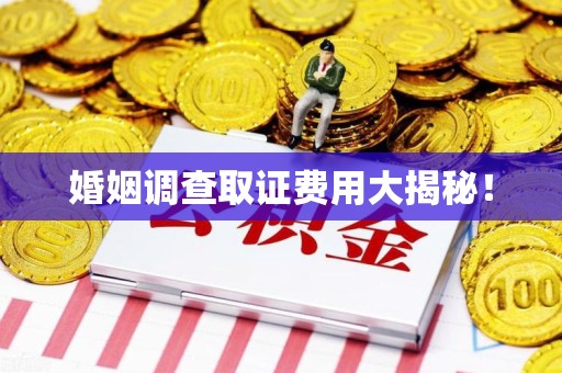 定南婚姻调查取证费用大揭秘！