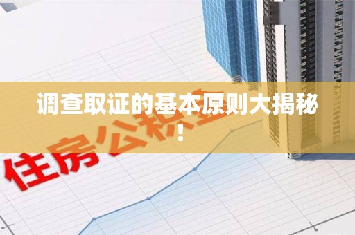 定南调查取证的基本原则大揭秘！