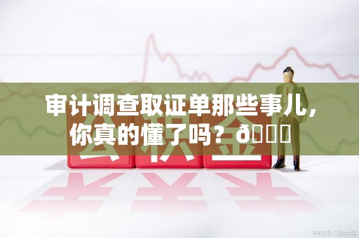 定南审计调查取证单那些事儿，你真的懂了吗？😎