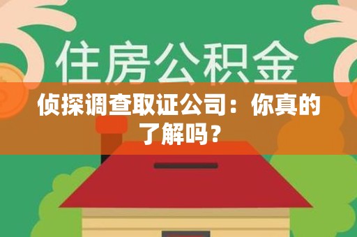 定南侦探调查取证公司：你真的了解吗？