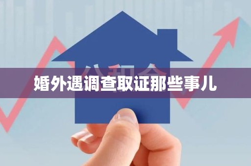 定南婚外遇调查取证那些事儿