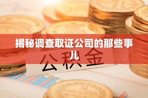 定南揭秘调查取证公司的那些事儿