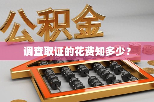 定南调查取证的花费知多少？