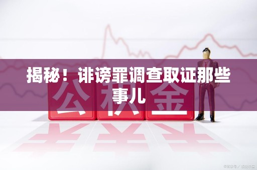 定南揭秘！诽谤罪调查取证那些事儿