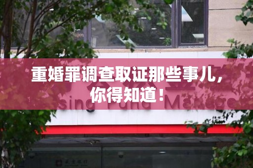 定南重婚罪调查取证那些事儿，你得知道！