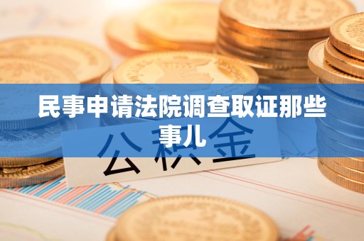 定南民事申请法院调查取证那些事儿